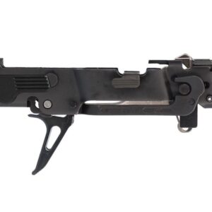 SIG SAUER - P320 Fire Control Unit - FCU 320 FRAME 9/40/357 BLACK